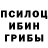 Псилоцибиновые грибы Psilocybe Timothy Feighery