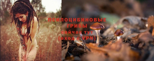 прущий лед Магадан