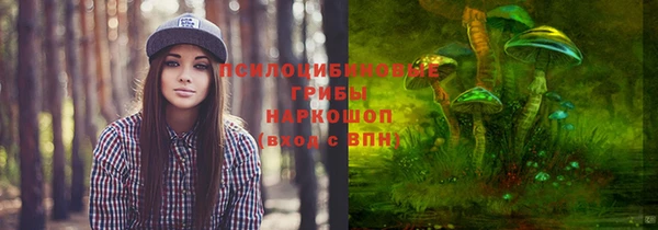 винт Магас