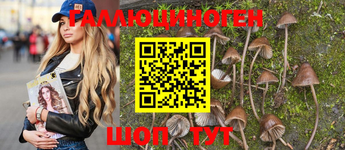 цена наркотик  Новокузнецк  Галлюциногенные грибы Psilocybine cubensis 