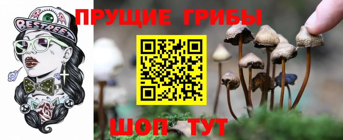 Галлюциногенные грибы Magic Shrooms  Псилоцибиновые грибы прущие грибы  цена наркотик  Новокузнецк  Вход с VPN 