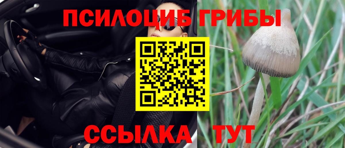 Псилоцибиновые грибы прущие грибы Новокузнецк
