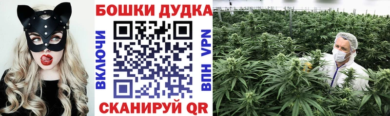 Шишки марихуана White Widow  Купить закладки  Новокузнецк 